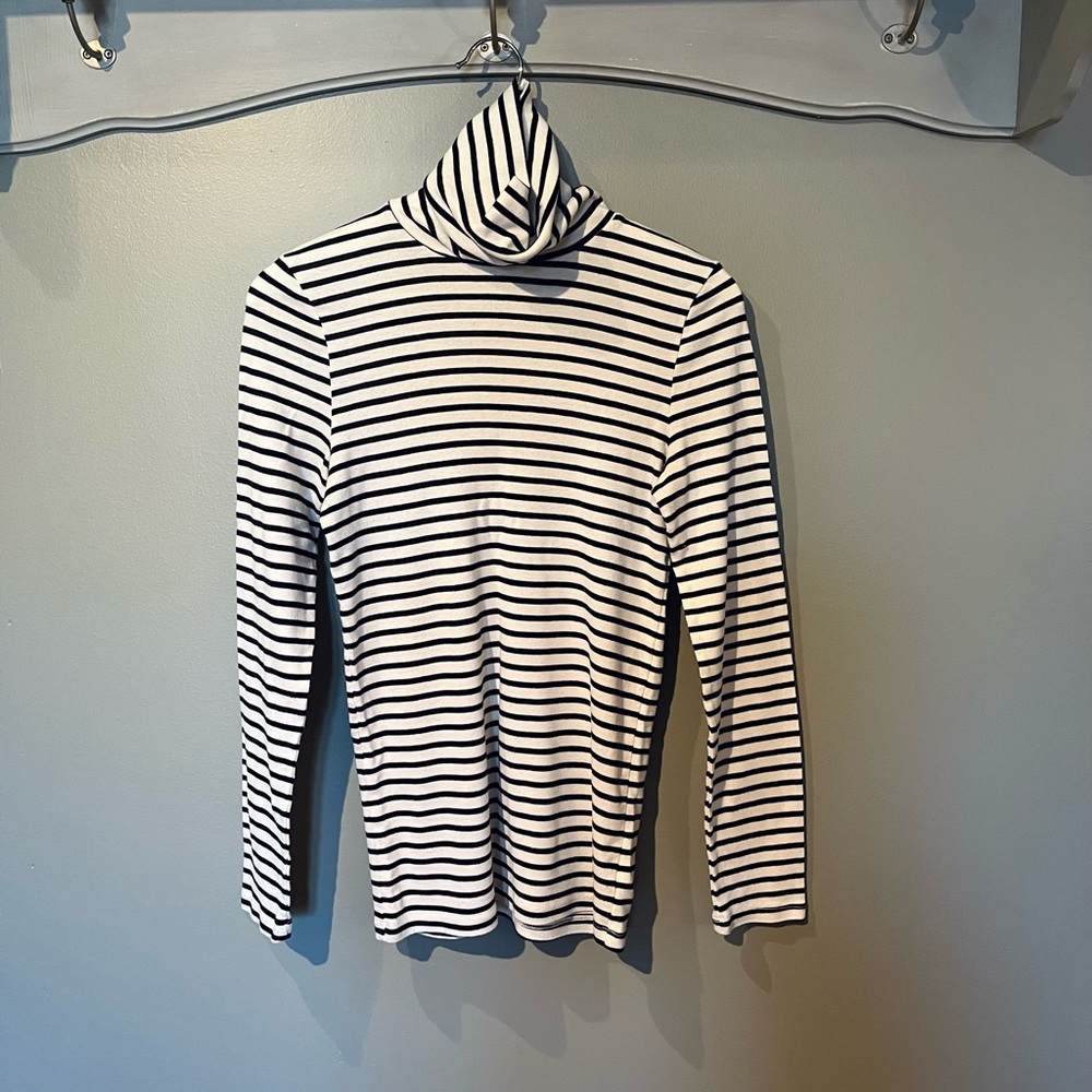 Splendid Striped Turtleneck
